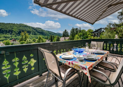 VILLA MARIE - Holiday Apartment in Purkersdorf near Vienna, penthouse, spacious terraces with view of the Vienna Woods